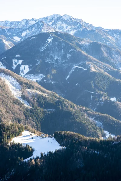 Eine Vertikale Aufnahme Der Wunderschönen Mit Kiefern Bewachsenen Berggipfel — Stockfoto