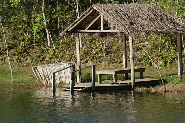 Closeup Shot Lakehouse Middle Forest Bonito Brazil — Stock Photo, Image