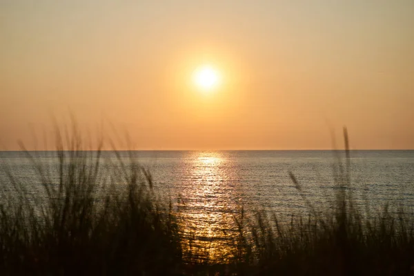 Вид Спокійне Море Травою Передньому Плані Красивому Заході Сонця — стокове фото