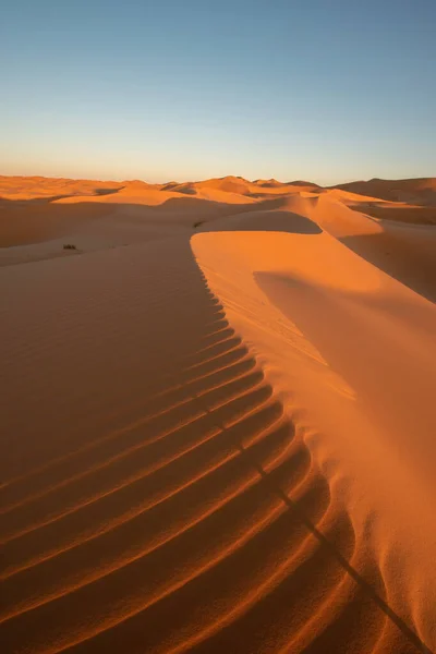 Beautiful View Arid Sahara Sand Dunes Desert Taghit — Stock Photo, Image