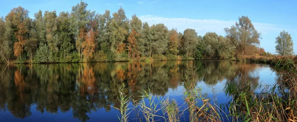オランダの西 秋の晴れた日には柳沼の森 — ストック写真