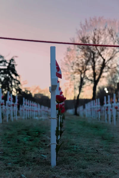 Campo Cruces Amanecer Calgary Alberta Memorial Drive — Foto de Stock