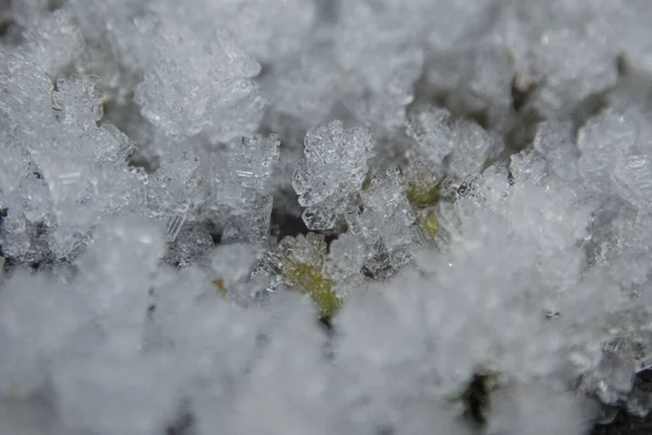 Макрознімок Крижаних Деталей Заморожений Ґрунт — стокове фото