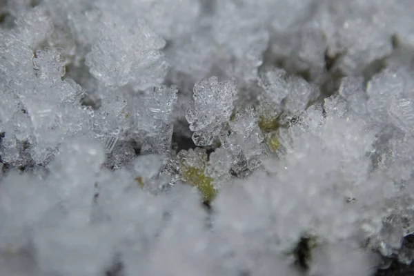 Macro Shot Ice Details Frozen Ground — Fotografia de Stock