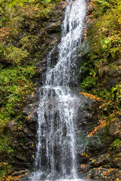 Cascata Cheilor Nel Villaggio Cormaia Romania — Foto Stock