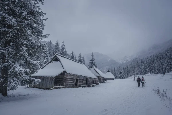 Vacker Utsikt Över Vintern Och Snötäckta Berg Och Hus — Stockfoto