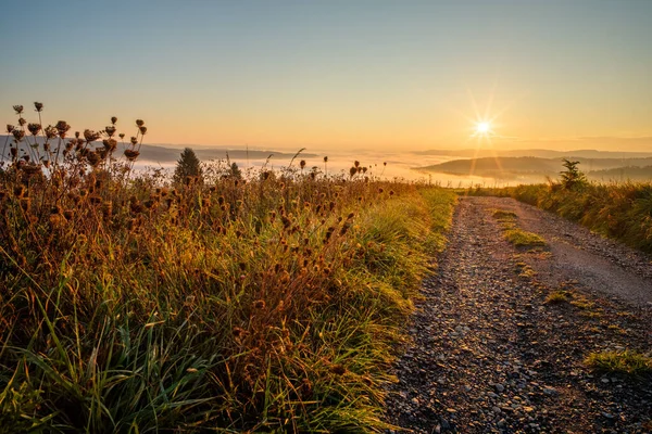Güneşin Doğuşuyla Birlikte Sisli Bir Gün Doğumunda Çayır Yol — Stok fotoğraf