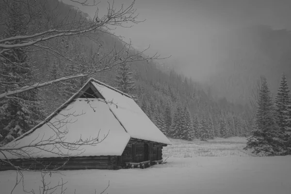 冬季和白雪覆盖的高山和房屋美丽的灰度景观 — 图库照片