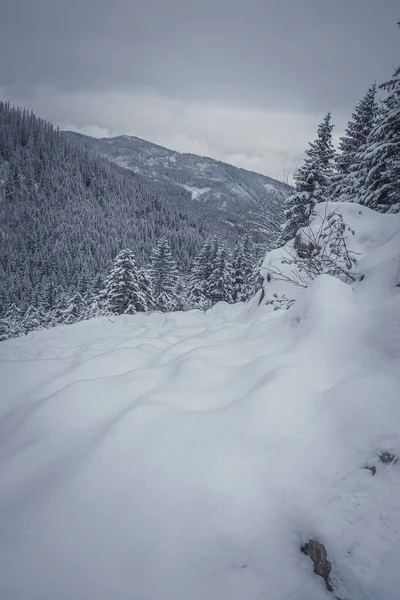 Tiro Vertical Inverno Montanhas Cobertas Neve Árvores — Fotografia de Stock