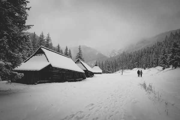 Vacker Gråskala Utsikt Över Vintern Och Snötäckta Berg Och Hus — Stockfoto