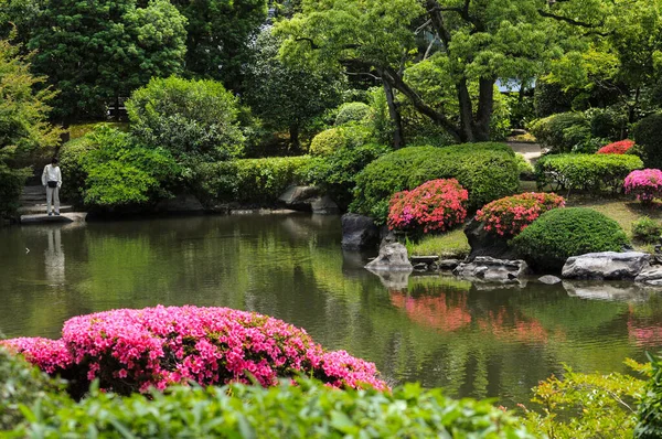 東京の美しい造園がある旧安田庭園の眺め — ストック写真