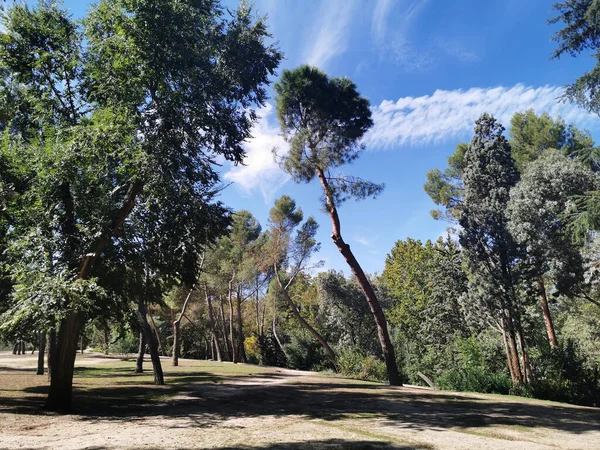 Bela Vista Floresta Verde Casa Campo Madrid Espanha — Fotografia de Stock