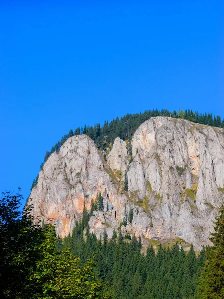 Eine Vertikale Aufnahme Der Karpaten Der Nähe Des Roten Sees — Stockfoto