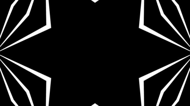 Schwarz Weiß Abstrakter Hintergrund Dekoratives Muster — Stockvideo