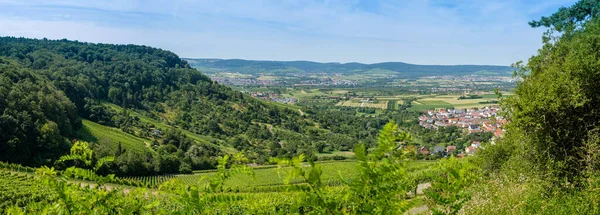 Una Vista Panorámica Del Pueblo Weinstadt Con Plantas Verdes Alemania — Foto de Stock