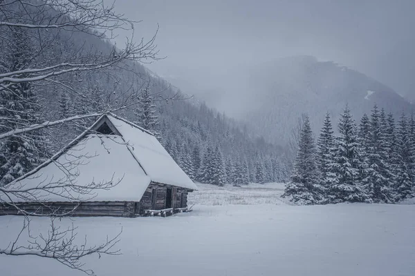 冬季和白雪覆盖的高山和房屋的美丽景色 — 图库照片
