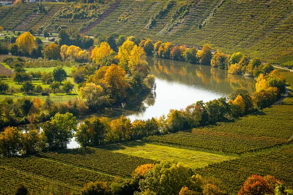 Řeka Neckar Vinicemi Podzimním Zbarvení — Stock fotografie