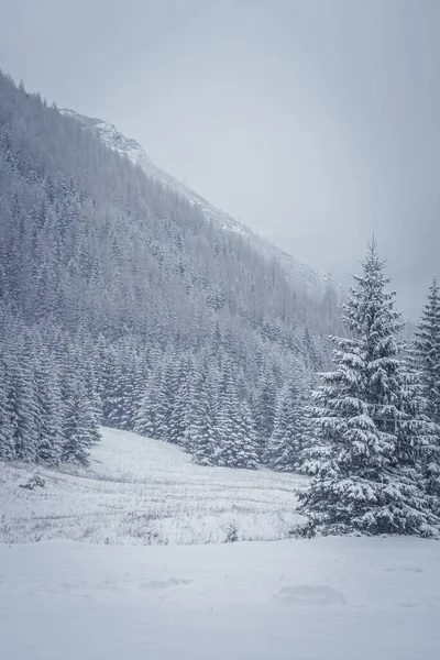 Vertical Shot Winter Snow Capped Mountains Trees — Stock Photo, Image