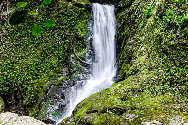 Uma Bela Vista Uma Cachoeira Floresta Tropical — Fotografia de Stock