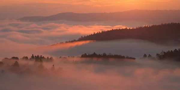 Autumn Mist Landscape Sunlight Backlit Scene — Foto Stock