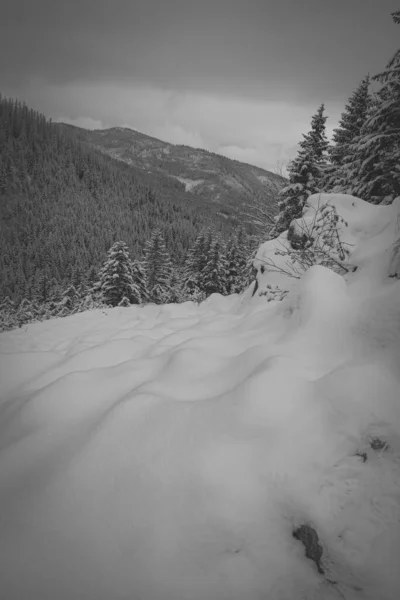 冬天和白雪覆盖的高山和树木的垂直灰度拍摄 — 图库照片
