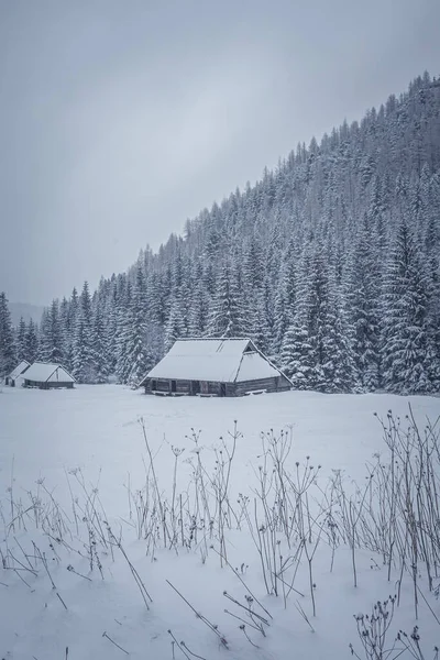 冬天和白雪覆盖的高山和房屋的垂直拍摄 — 图库照片