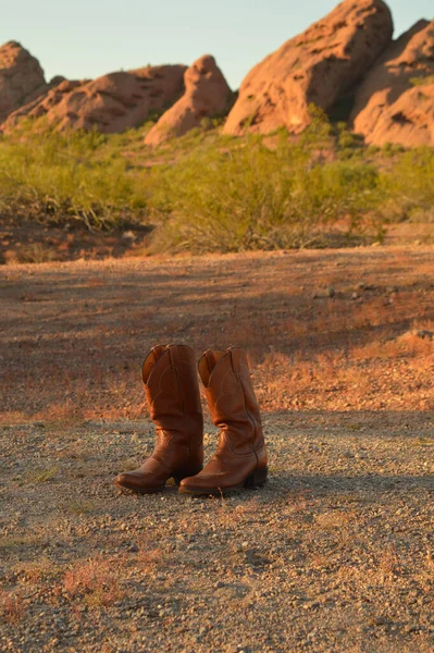Brown leather cowboy boots photographed outdoors in a natural setting.