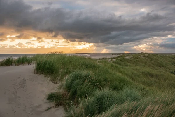 Bewolkte Lucht Boven Zee Het Strand Bij Zonsondergang — Stockfoto