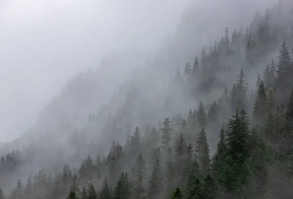 Sisteki Bir Dağın Yamaçlarının Silüetiyle Bir Manzara — Stok fotoğraf