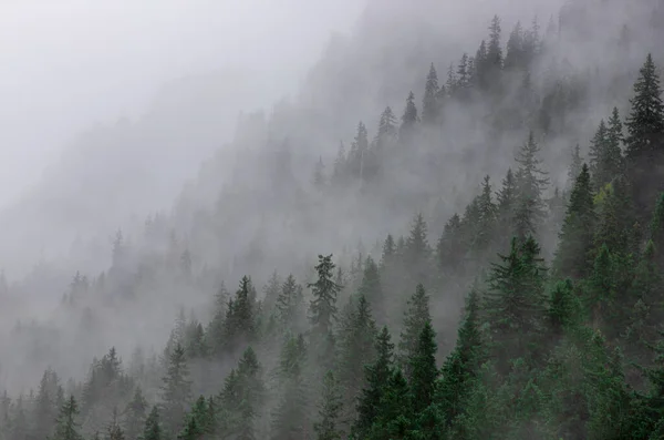 Eine Nebelwolke Berghang — Stockfoto