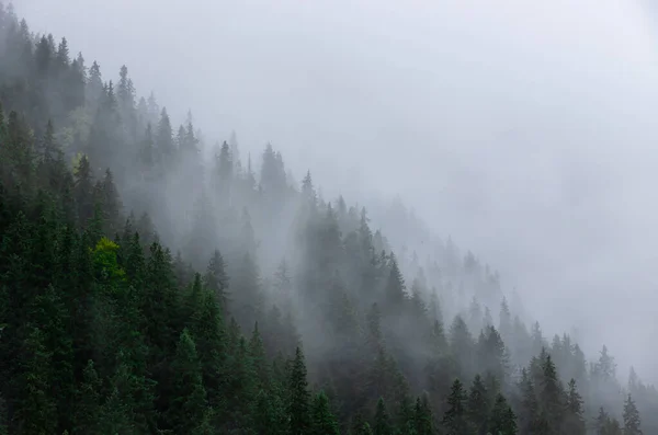 Fog Clouds Mountain Slope — 图库照片