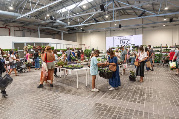 Madrid Espanha 2021 Vista Espacio Rastro Grande Mercado Plantas Madrid — Fotografia de Stock