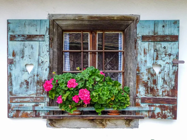 Wiekowe Drewniane Okno Doniczkowymi Pelargoniami Parapecie — Zdjęcie stockowe