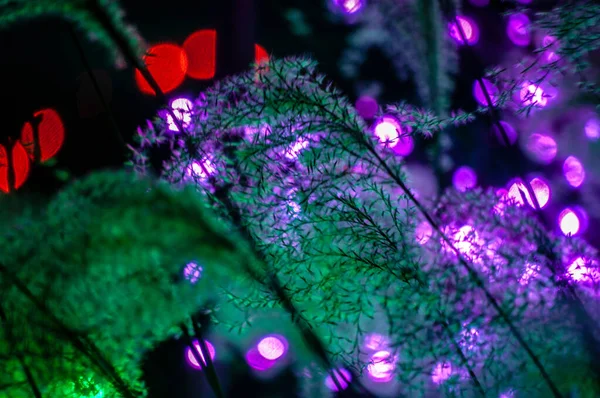 Lumières Bokeh Brillantes Arrière Plan Arbre Noël — Photo