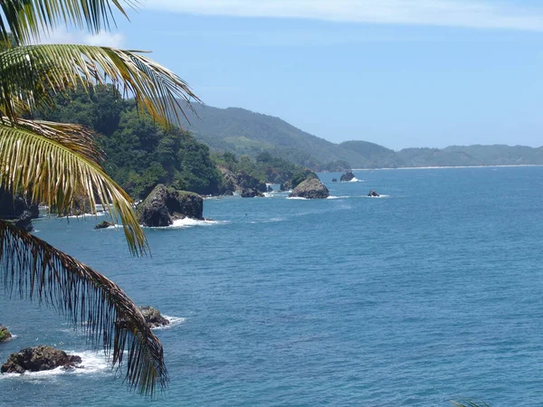 Tranquilo Mar Azul Con Plantas Costa Montañosa Día Soleado —  Fotos de Stock