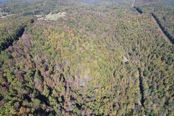 Μια Όμορφη Φωτογραφία Ενός Δάσους Φθινόπωρο Στη Δυτική Βιρτζίνια — Φωτογραφία Αρχείου