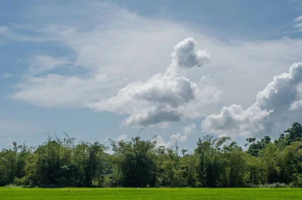 Una Hermosa Vista Paisaje Con Vegetación Bajo Cielo Nublado — Foto de Stock