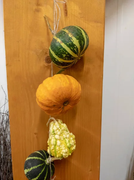 Una Pared Madera Con Calabazas Colgando Ella — Foto de Stock