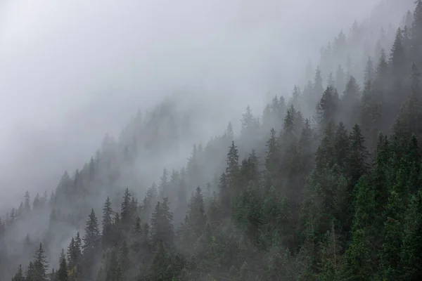 Ånga Efter Regn Bergssluttning — Stockfoto