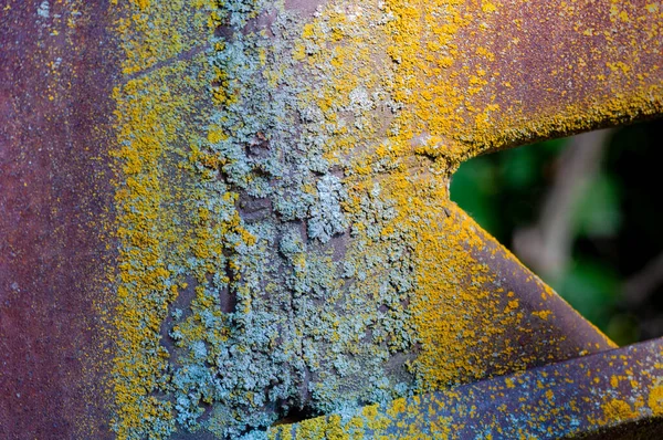 Primer Plano Metal Oxidado Cubierto Liquen —  Fotos de Stock