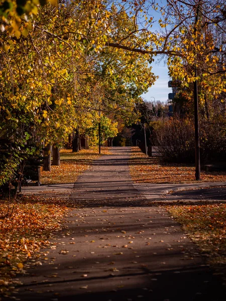 Bellissimi Colori Autunnali Lungo Sentiero Calgary Alberta Canada — Foto Stock