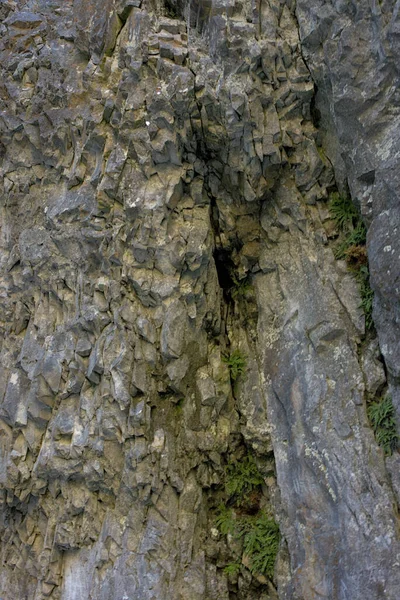 Ένα Κοντινό Πλάνο Γκρίζων Βράχων Νερό Περνάει Ανάμεσά Τους Στο — Φωτογραφία Αρχείου