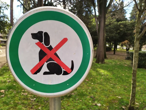 Closeup Shot Dogs Allowed Sign Park Entrance Area Gloomy Day — Stockfoto