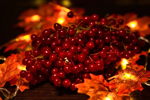 Guelder Rosa Bayas Entre Guirnalda Hoja Arce Iluminado Decoración Para —  Fotos de Stock