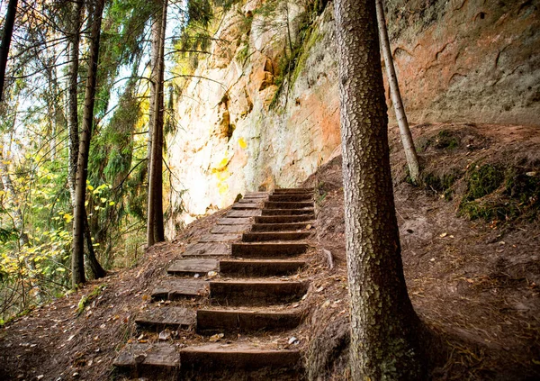 Una Vieja Escalera Que Conduce Acantilado Parcialmente Cubierto Musgo Bosque —  Fotos de Stock