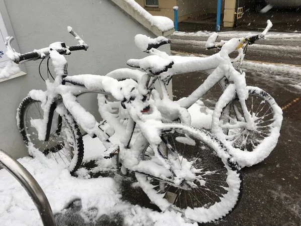 Two Snow Covered Bicycles Street Dawlish Cold Winter — Stockfoto