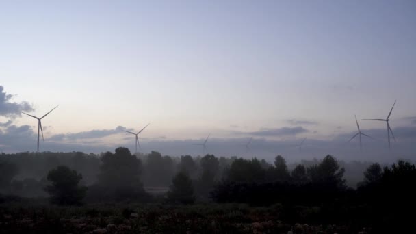 田里的风力涡轮机 — 图库视频影像