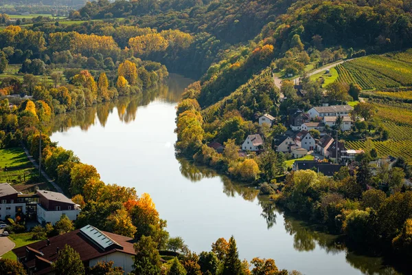 Neckar Nehri Almanya Nın Mundelsheim Şehrinde Sonbaharda Döngü Halindedir — Stok fotoğraf