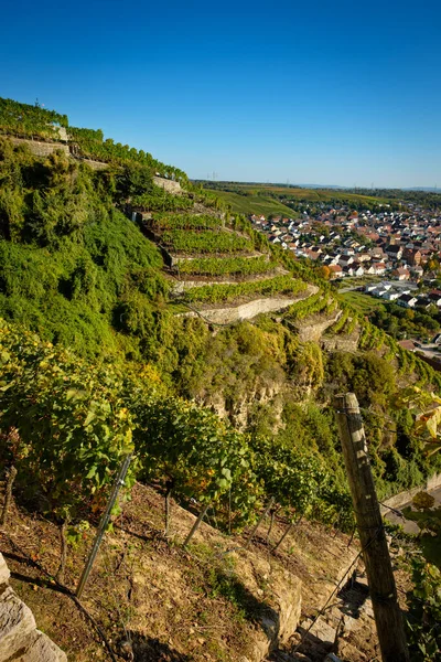 Прекрасный Вид Виноградник Холме Голубым Небом Германии — стоковое фото