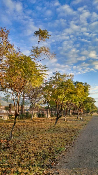 Una Vista Natural Los Árboles Otoñales Ambos Lados Sendero Parque — Foto de Stock